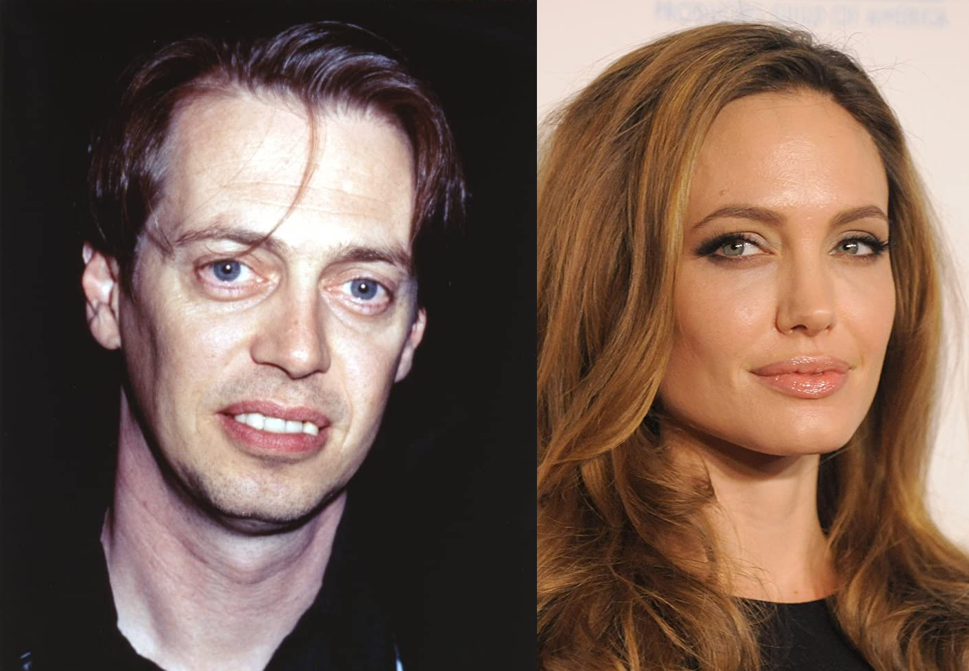 one of Left is Steve Buscemi right is Angelina Jolie